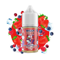 Concentré Fruits Rouges Givrés - Biggy Bear