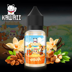 Arôme concentré Vanillixir - Kawaii