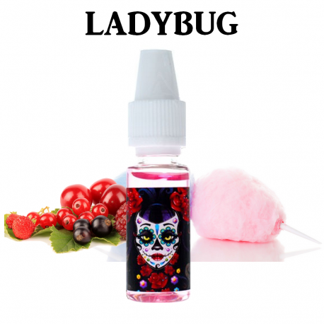 Concentré Ladybug 