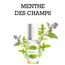 ARÔME DIY MENTHE DES CHAMPS LIQUIDE E-CIGARETTE 100 ML