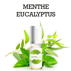 ARÔME DIY MENTHE EUCALYPTUS LIQUIDE E-CIGARETTE 100 ML