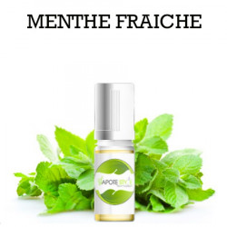 ARÔME DIY MENTHE FRAICHE LIQUIDE E-CIGARETTE 100 ML