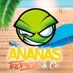 Arôme Concentré Ananas-Tropical & Co - Exo