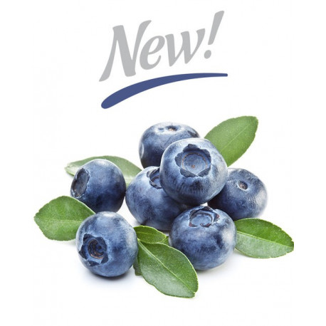 Arôme Blueberry Extra Flavor - Silverline