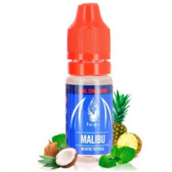 Arôme Concentré Malibu - Halo 