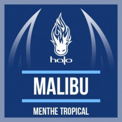 Arôme Concentré Malibu - Halo 