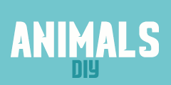Animals DIY