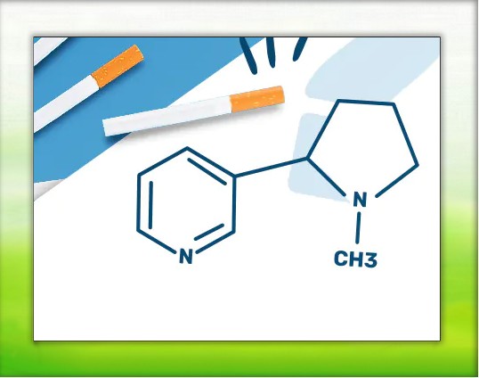 elfbar nachfüll pod läuft aus La surdilution des e liquides