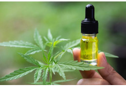 HUILE DE CBD : COMMENT BIEN L’UTILISER ?