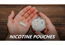 Qu'est-ce que les Pouches de Nicotine ?